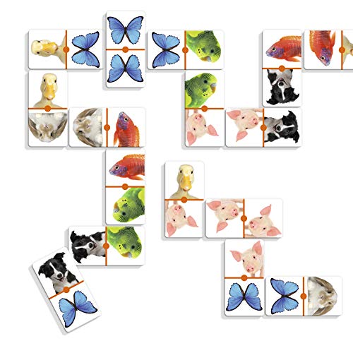 Diset- Domino Photo Animals - Juego de dominó fotográfico con animales a partir de 3 años