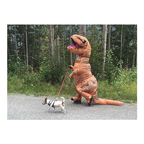 Disfraces inflables Tyrannosaurus Rex Dinosaurio Disfraz Unisex Adultos Niños Disfraz Fiesta de Halloween Fantasía Dinosaurio Traje Blow up (S)