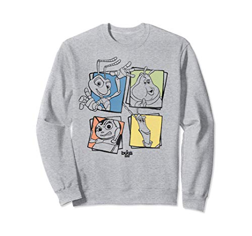 Disney Pixar A Bug's Life Group Shot Box Up Sudadera