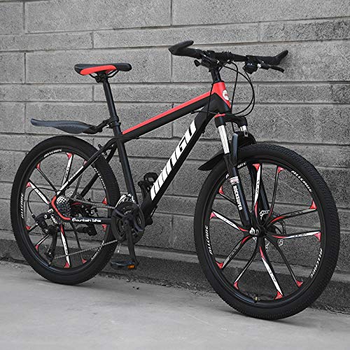 Dszgo 24 Pulgadas, 10 Cuchillos, Cortavientos Montaña Urbano Bici Adulta de Trabajo Macho y Hembra Shift Choque Estudiante Fuera de la Carretera de absorción de Bicicletas Juvenil Ligera Road Racing,