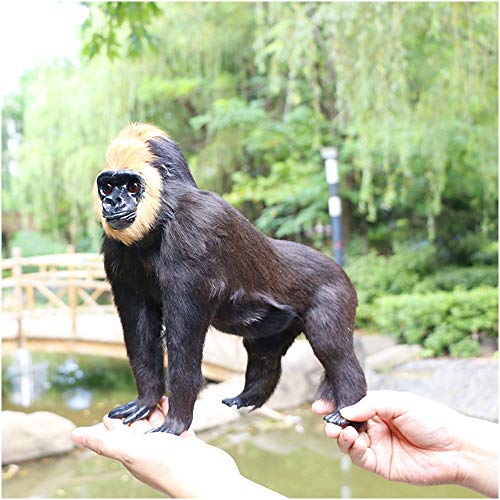 FHUILI Modelo de Juguete de Gorila - Modelo de Animales de Peluche Realista Black King Kong Toy - Rey Lifelike King Cómodo artesanía esculturas rellenas - para niños Educación, Decoración de jardín,A