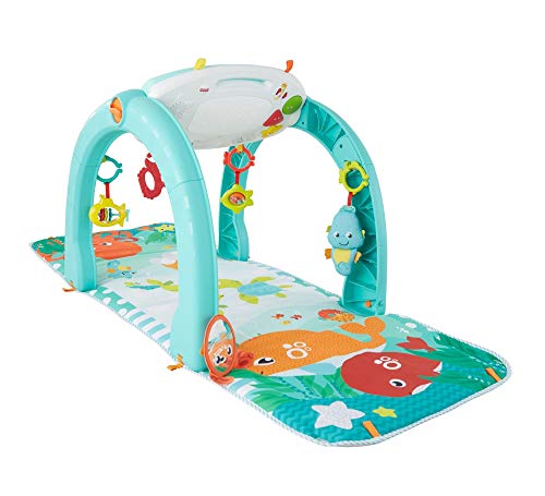 Fisher-Price- Juguete, Multicolor (Mattel FNF24) , color/modelo surtido