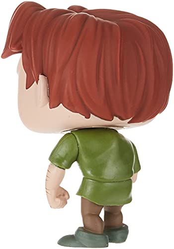 Funko- Pop Disney: Hunchback of Notre Dame-Quasimodo Collectible Toy, Multicolor (41145)