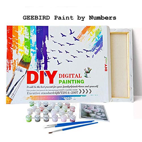 GEEBIRD DIY Pintura Regalo Atrapasueños de Color,Pintar por Numeros para Adultos Niños 40x50cm preimpreso Lienzo de Pintura al óleo Living Room Arte de la Pared decoración