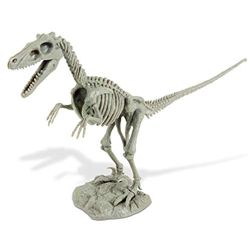 Geoworld Hunters-Dino Dig Excavation Kit-Velociraptor-14 pieces-Uncle Milton Scientific Educational Toy Kit de Excavacion con Velociraptor Dr. Steve, color (90891031)