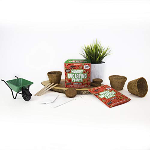 Gift Republic - Sow And Grow, Kit para el cultivo de plantas carnívoras