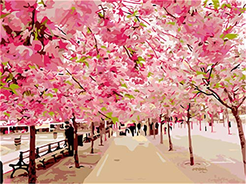 Gofission Paint by Numbers Beautiful Path Pink Flowers Trees, 40,6 x 50,8 cm, kit de pintura para números (Escene 1, sin marco)