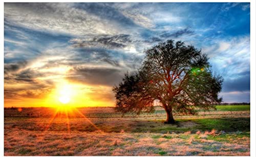 Gran Árbol En La Pradera En La Puesta De Sol Puzzle 300 Piezas Juego Familiar Para Niños Adultos Inicio Puzzle Eventos