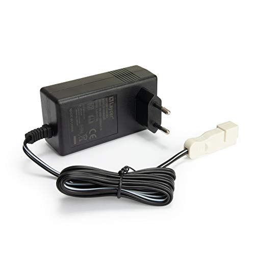 INJUSA - Batería de Litio y Cargador de 12V con Autonomía de 2 h 35 min y Tiempo de Carga de 3 h 45 min Compatible con Productos 12V