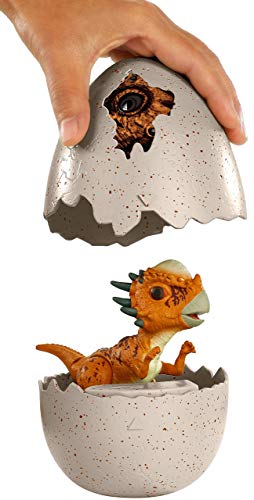 Jurassic World Dino recién nacido Stygimoloch Stiggy, dinosaurio de juguete (Mattel FMB95)