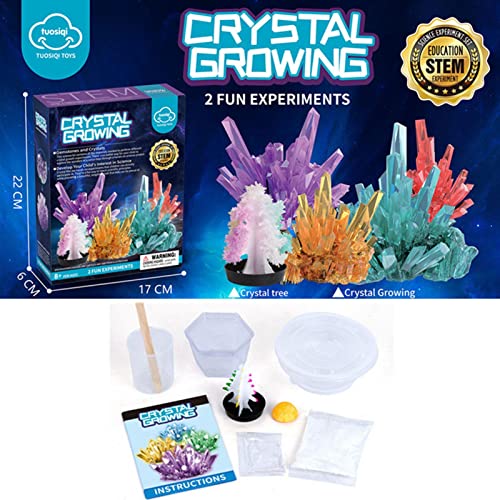 Kit De Cultivo De Cristales Para Niños, Kit De Cultivo De Cristales De Educación STEM, Experimentos Científicos Para Niños De Más De 8 Años, 6 Árboles De Navidad De Cristal De Colores Vibrantes