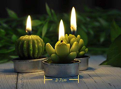 LA BELLEFÉE Velas Suculentas Plantas Cactus Decorativas para Casa Regalos para Halloween Cumpleaños Fiestas Boda Adorables Regalos para los Amantes de Suculentas