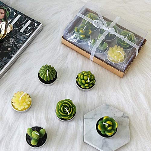 LA BELLEFÉE Velas Suculentas Plantas Cactus Decorativas para Casa Regalos para Halloween Cumpleaños Fiestas Boda Adorables Regalos para los Amantes de Suculentas