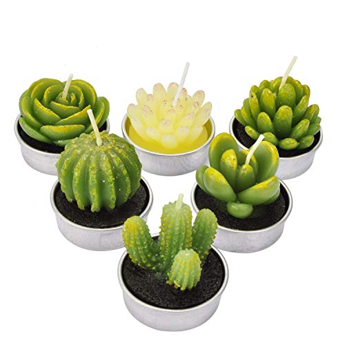 LA BELLEFÉE Velas Suculentas Plantas Cactus Decorativas para Casa Regalos para Halloween Cumpleaños Fiestas Boda Adorables Regalos para los Amantes de Suculentas