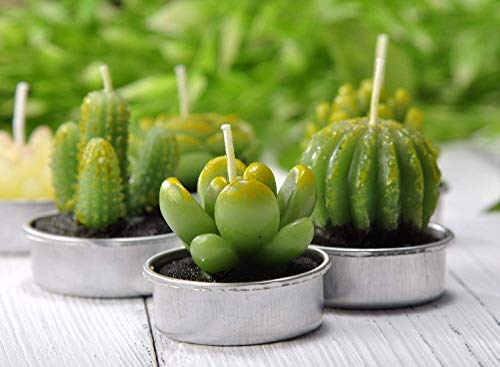 LA BELLEFÉE Velas Suculentas Plantas Cactus Decorativas para Casa Regalos para Halloween Cumpleaños Fiestas Boda Adorables Regalos para los Amantes de Suculentas