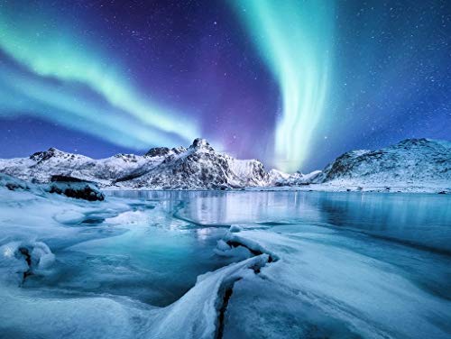 Lais Puzzle Aurora Boreal / Aurora Boreal en Las Islas Lofoten, Noruega 1000 Piezas