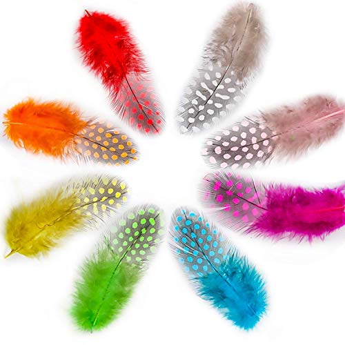 LEBENSWERT Coloridas plumas de gallina con perlas para manualidades, 300 unidades, 8-15 cm, plumas de colores para manualidades, decoración para máscaras, sombreros o joyas para el pelo, 10 colores