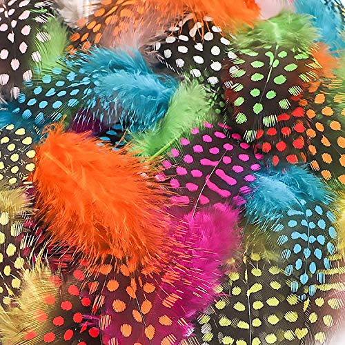 LEBENSWERT Coloridas plumas de gallina con perlas para manualidades, 300 unidades, 8-15 cm, plumas de colores para manualidades, decoración para máscaras, sombreros o joyas para el pelo, 10 colores