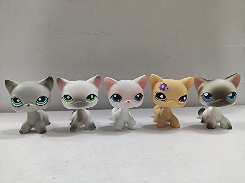 Littlest Pet Shop Cat Short Hair Cats LPS Toys Animal Figure 5 pcs/Set