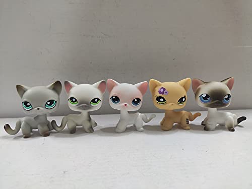 Littlest Pet Shop Cat Short Hair Cats LPS Toys Animal Figure 5 pcs/Set