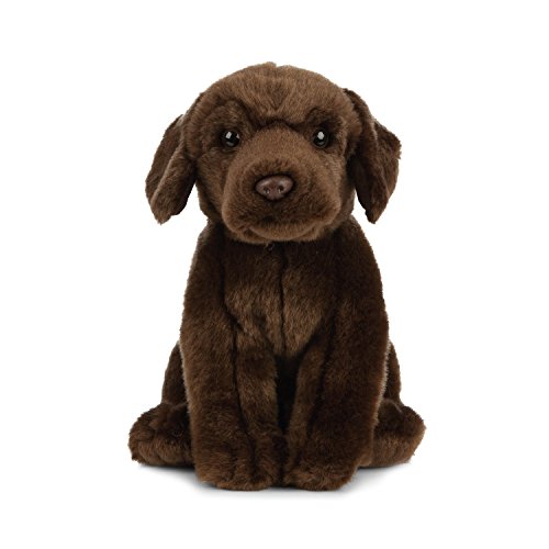 Living Nature AN458 - Peluche de Chocolate para Mascotas