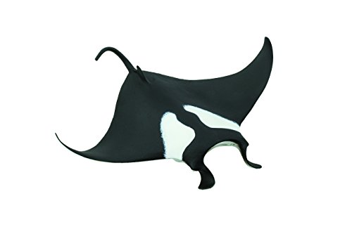 Mantarraya Marca Safari