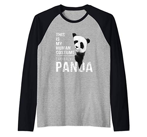 Mi disfraz humano, en realidad soy un panda Camiseta Manga Raglan