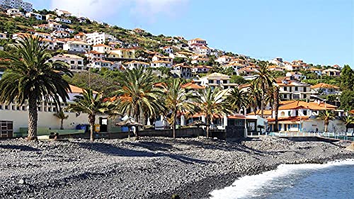 MX-XXUOUO 1000 Piezas de Rompecabezas de Madera para Adultos y niños，Puzzle de Paisaje y Viaje，Madeira Santa Cruz Portugal mar Palmeras Cuesta Casas Villa