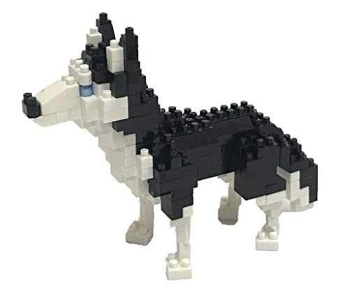 nanoblock- NBC264 Siberian Husky Juguete, Multicolor (Kawada , color/modelo surtido