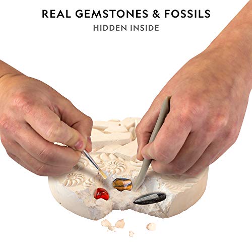 National Geographic Mega Fossil and Gemstone Dig Kit