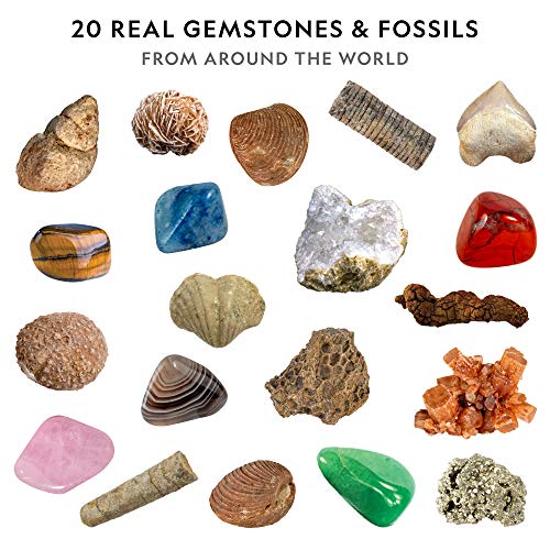 National Geographic Mega Fossil and Gemstone Dig Kit