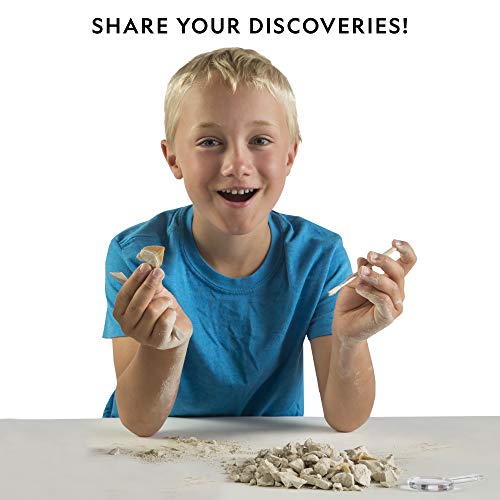 National Geographic Mega Fossil and Gemstone Dig Kit