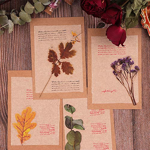 NogaMoga 80 piezas Pegatinas Scrapbooking de Plantas Flores Secas Decorativas Stickers Transparente Autoadhesivas Pegatinas para Álbumes de Recortes Planificador Diario Tarjetas Laptop Arte de Resina