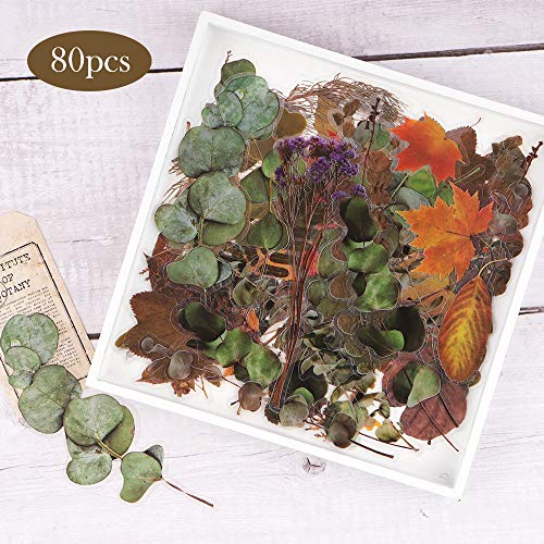 NogaMoga 80 piezas Pegatinas Scrapbooking de Plantas Flores Secas Decorativas Stickers Transparente Autoadhesivas Pegatinas para Álbumes de Recortes Planificador Diario Tarjetas Laptop Arte de Resina