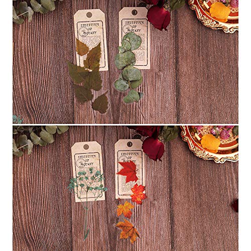 NogaMoga 80 piezas Pegatinas Scrapbooking de Plantas Flores Secas Decorativas Stickers Transparente Autoadhesivas Pegatinas para Álbumes de Recortes Planificador Diario Tarjetas Laptop Arte de Resina