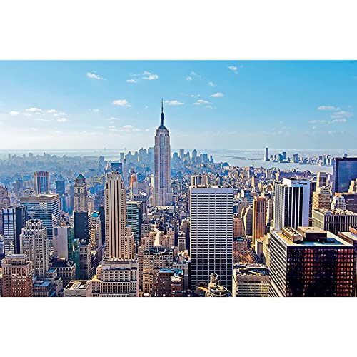 Nueva York 1000 Pieza Puzzle, Juguete Educativo para Adultos 2000 Pieza Puzzle Nueva York 500-6000 Pieza Niños Adulto Día De La Madre Regalo(Color:4000 Pieces)