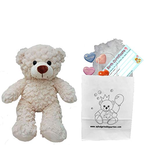 Oso de peluche de color crema arrugado – Peluche suave – 25 cm – Construye tu propio oso de peluche – Kit de fiesta