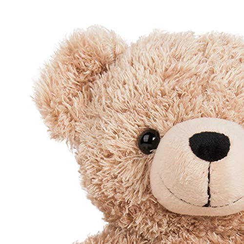 Oso de Peluche Personalizado con Dos Nombres - Personalizado Este Osito de Peluche añadiéndoles Dos Nombre (Peluche de Amor)