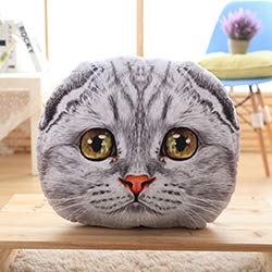 PBCX Scottish Fold Cat Almohada de Felpa Animales de Peluche decoración sofá Silla Gatito niños Cuna Tiro 40 cm