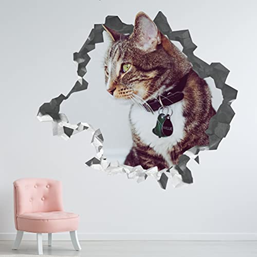 Pegatina Gatito Lindo - Calcomania Animales - Decoración de Cuartos de Bebé - Sticker de Gatitos - Decoración Infantil - JS399 (Mediano: 76 cm x 71 cm)