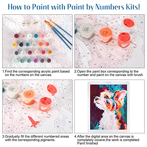 Pintar por Numeros, Kits de Pintura Numeros con 18 Pinturas Acrílicas y 3 Pinceles para Adultos y Niños, 40 x 50 cm DIY Paint by Numbers Sobre Lienzo Sin Marco