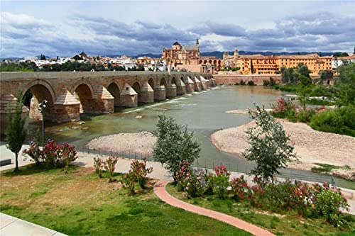 Pintura De Pintura Por Números Para Adultos, Kits De Pintura De Bricolaje Por Números Para Niños Principiantes En Lienzo, Córdoba, Andalucía, España, 16X20 Pulgadas