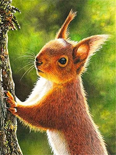 Pintura Por Números Linda Ardilla Comiendo Animal De Nuez Diy Pintura Lienzo Para Dibujar Con 3 Pinceles Y Colores Brillantes 40X50Cm Sin Marco