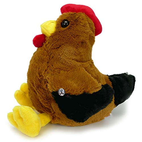 Pollo, gallina, marrón, peluche de pájaro, Berta, peluche, biz