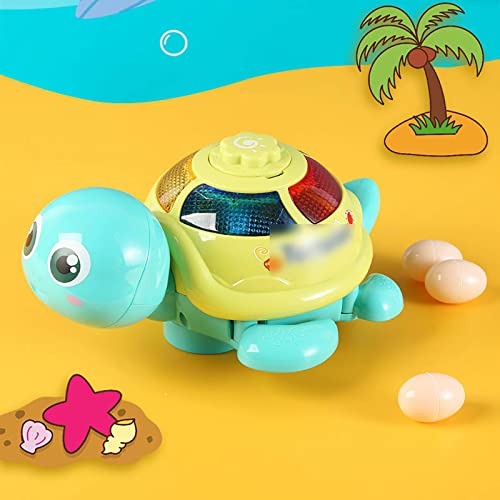 Ponerán Huevos Tortugas pequeñas Cantan y giran Juguetes para niños Música Ligera Inteligencia para bebés Regalos educativos Juguete Musical Tortuga Desarrollo Educativo temprano