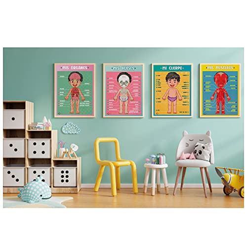 Profit Carteles educativos Cuerpo Humano – Posters Infantil Preescolar para niños en español, inglés. Partes del Cuerpo, Huesos, órganos y músculos. Descubre cómo Funciona Nuestro Cuerpo.