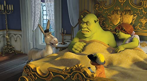 Puzzles para Adultos 1000 Piezas Burro, El Gato con Botas, Shrek Y La Princesa Fiona Rompecabezas Creativo Juegos Habilidad Niños Y Adultos ，Regalos para Amantes O Amigos 75X50Cm(1000Pcs)