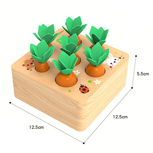 qiyifang Montessori - Juego magnético de zanahoria para niños pequeños, bloques de construcción de 6 a 18 meses, reconocimiento de forma, ejercicio de mano y pie