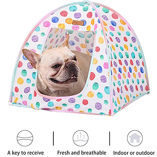 Rainbow Pet Teepee - Cama plegable para refugio de perros con almohadilla para dormir, perro gato transpirable con cojín, tiendas de campaña para perros de lujo, casas para mascotas con cojín para el