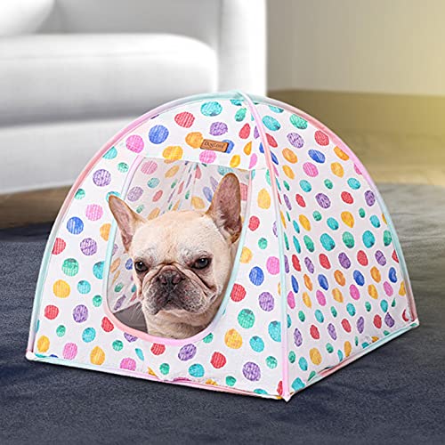 Rainbow Pet Teepee - Cama Plegable para Refugio de Perros con Almohadilla para Dormir, Perro Gato Transpirable con cojín, Tiendas de campaña para Perros de Lujo, Casas para Mascotas con cojín para el